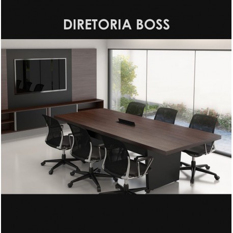 DIRETORIA BOSS - AMB. 1