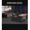 DIRETORIA BOSS - AMB. 3
