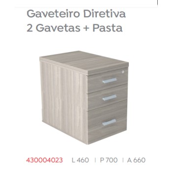 Gaveteiro Diretiva 2 Gavetas + Pasta