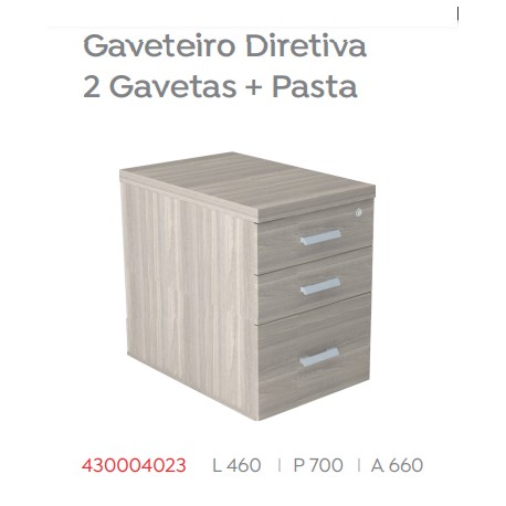 Gaveteiro Diretiva 2 Gavetas + Pasta