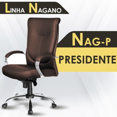 NAG-P PRESIDENTE